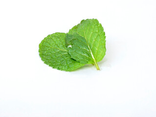 Mint leaves isolated on white background.