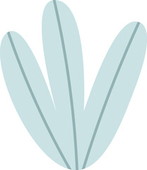 Tropical foliage plant leaf