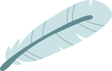 Flat Bird feather