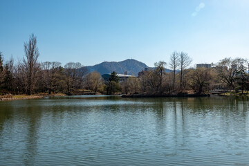 Fototapeta na wymiar 早春の中島公園菖蒲池（北海道札幌市）
