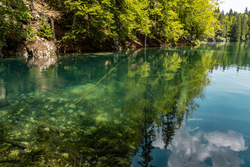 Alpine quiet mirror blue lake in the Italian Dolomites Lagi di Fusine