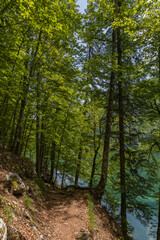 Fototapeta na wymiar Alpine quiet mirror blue lake in the Italian Dolomites Lagi di Fusine