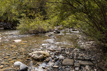 Mountain alpine, rocky river in the forest