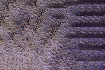 Chicken Feather Game-Ready Texture for 3d Models