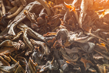 Black loose leaf tea. Dry black tea leaves close up