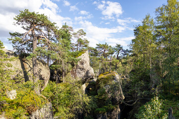 Rocks covered with trees, landscape high in the mountains