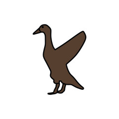 brown duck tries to fly by using its wings