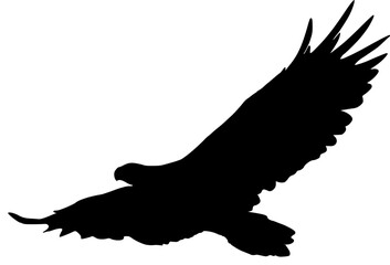 Naklejka premium birds silhouette