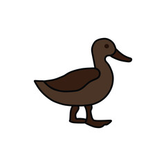 a brown duck with wide legs and a long muzzle