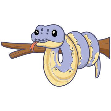 Cute killer clown ball python cartoon on tree branch