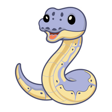 Cute killer clown ball python cartoon