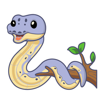 Cute killer clown ball python cartoon on tree branch