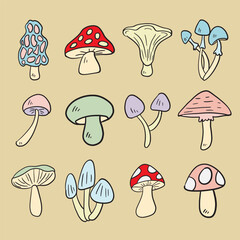 Mushroom drawing image for food or cooking concept