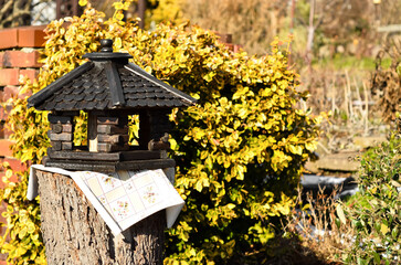 View of wooden bird house in village, closeup