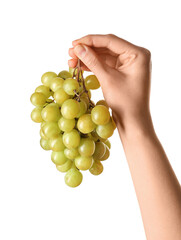 Female hand holding grapes isolated on white background