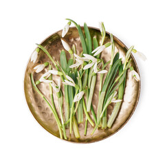 Plate with beautiful snowdrops on white background