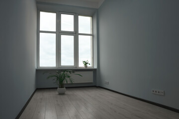 Empty office room with windows and potted houseplants