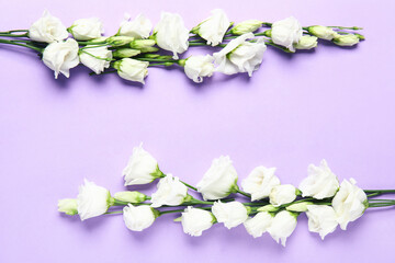 Composition with white eustoma flowers on lilac background