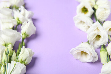 Obraz na płótnie Canvas Composition with white eustoma flowers on lilac background, closeup