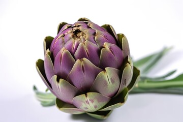Fototapeta premium Closeup of an artichoke on white background. Created by Generative AI technology.