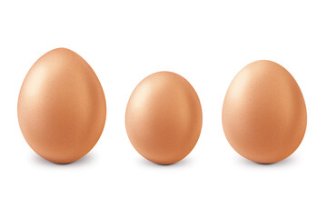 Egg. The perfect egg. Eggs of different shapes and sizes on a white background. Easter eggs. Three natural eggs.