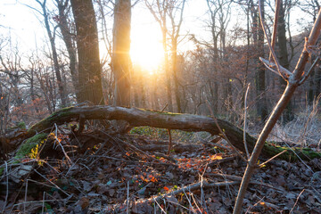 Abend im Linden .Hannover.