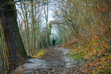 Abend im Linden .Hannover.