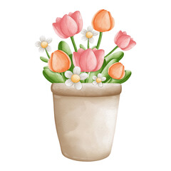 Watercolor flowers in pot, Hand-drawn illustration, Spring season