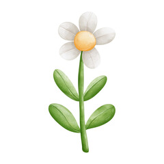 Watercolor flower, Hand-drawn illustration, Spring season