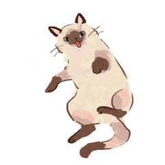 見上げる猫
