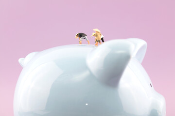 Miniature creative savings tank for agricultural labor