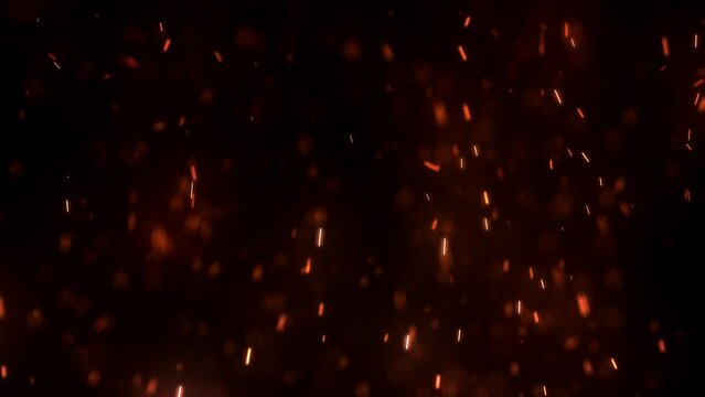 A 4K shot of glowing and flickering fire embers, as they rise and whirl above a crackling fire.