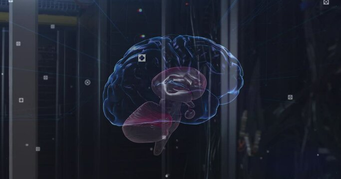 Animation of network of connections and brain over server room