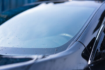 Black car being cleaned in a car washer