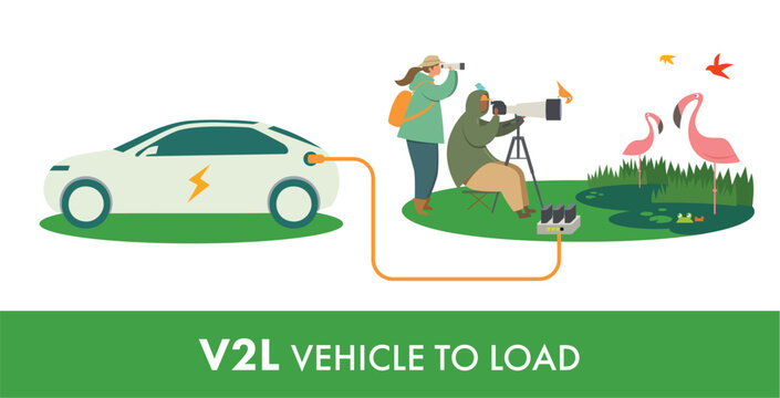A vector illustration of a couple photographing birds in nature using V2L technology where an electric car acts as a mobile battery
