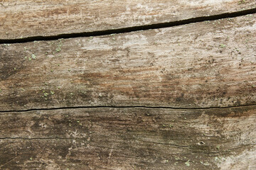 Fototapeta premium close up brown wood texture . 