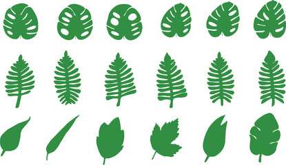 Set of green leaves line elements vector on white background for decorating wallpaper, artworks ,presentations