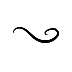 Hand Drawn Decorative