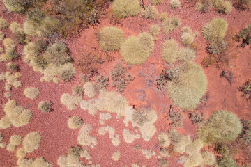 Looking down from a lower angle seeing only the red Australian outback dirt and speckles of bushes in an arid land.