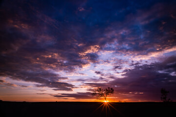 Colourful clouds fill the sky as the sun sets behind the lone tree