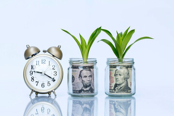 Dollars and Alarm clock with tree . growing saving concept..