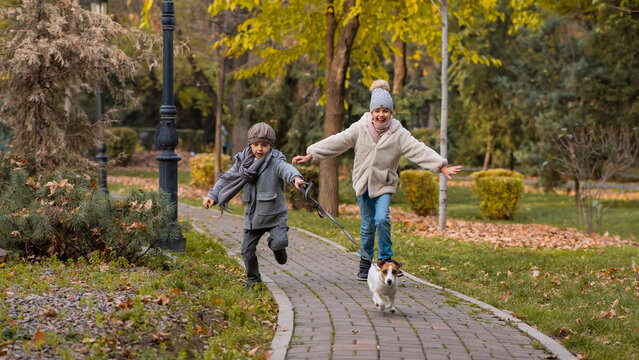 Brother and sister walk the dog in the park in autumn. Boy and girl running with jack russell terrier on a leash. 