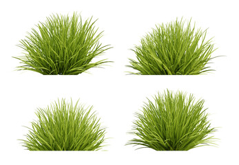 Set of green grass on transparent background, 3d render illustration. - obrazy, fototapety, plakaty