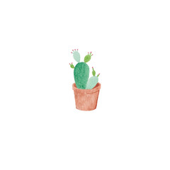 Watercolor cactus pot