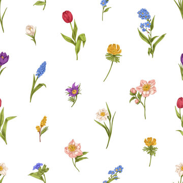 Vintage flowers pattern. Seamless floral background design. Botanical repeating print. Printable fabric, textile texture, blooming spring and summer plants. Hand-drawn realistic vector illustration