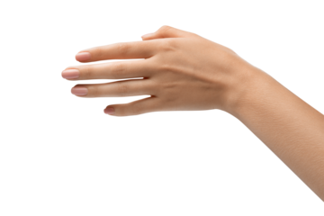Elegant female hand, perfect skin, manicure. Hand hold. Sign and gesture. Photograph of a woman's hand, emphasizing community and togetherness.