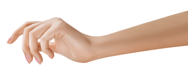 Elegant female hand, perfect skin, manicure. Hand hold. Sign and gesture. Photograph of a woman's hand, emphasizing community and togetherness.