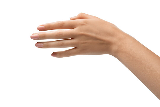 Elegant female hand, perfect skin, manicure. Hand hold. Sign and gesture. Photograph of a woman's hand, emphasizing community and togetherness.