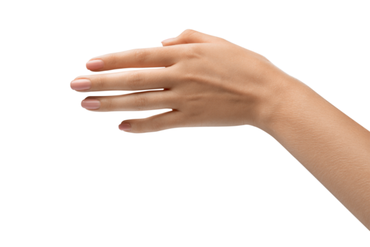Elegant female hand, perfect skin, manicure. Hand hold. Sign and gesture. Photograph of a woman's hand, emphasizing community and togetherness.