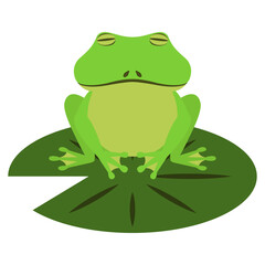 蛙のフラットベクターイラスト